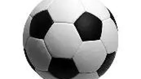 体育明星生肖排行深度解析与下载资源公开