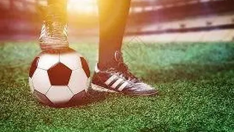 宝威体育 产品 095247 x8c