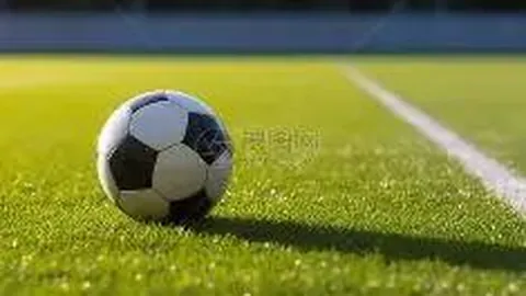 宝威体育 资讯 095517 nqh